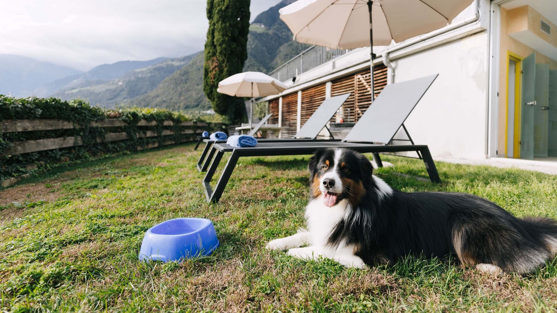 Ihr Hundehotel in Südtirol: das Hotel Mair am Ort