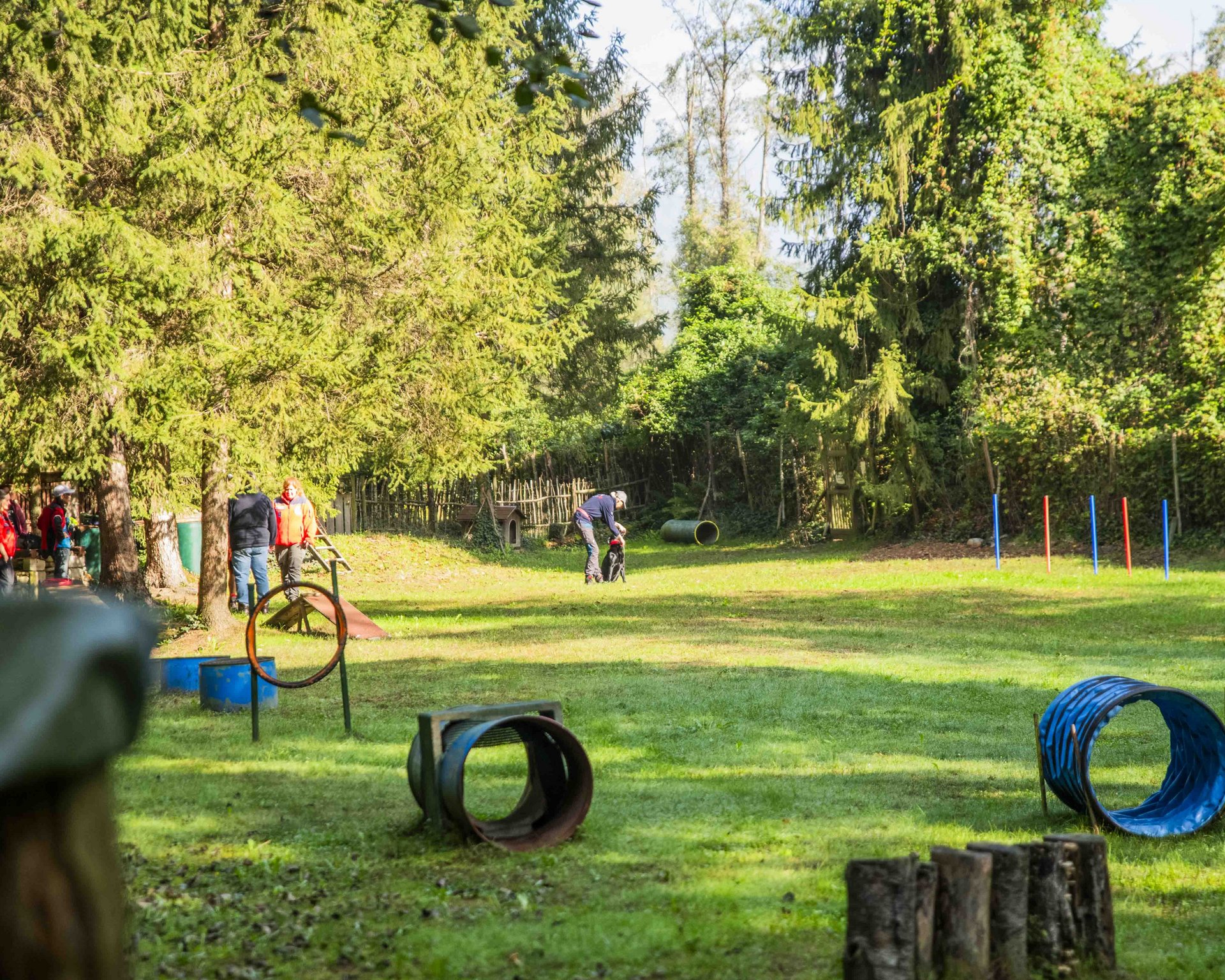 Hotel in montagna con cani ammessi Hotel in montagna con cani ammessi