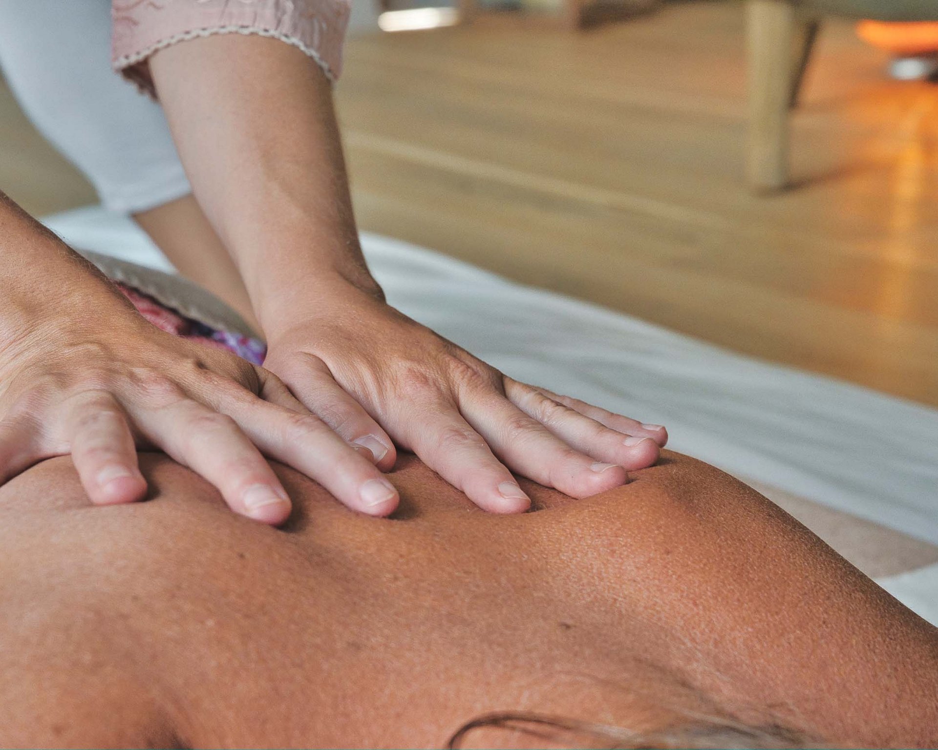 Wellness nel nostro hotel con spa con cani ammessi Wellness nel nostro hotel con spa con cani ammessi