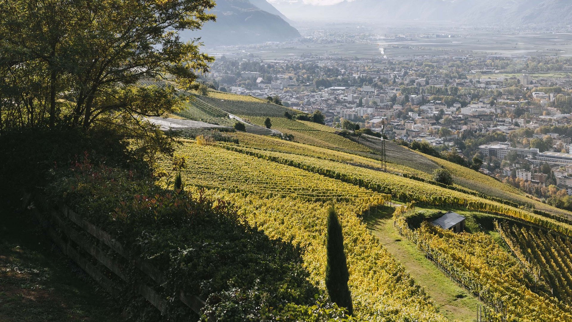 Wellness nel nostro hotel con spa con cani ammessi Wellness nel nostro hotel con spa con cani ammessi