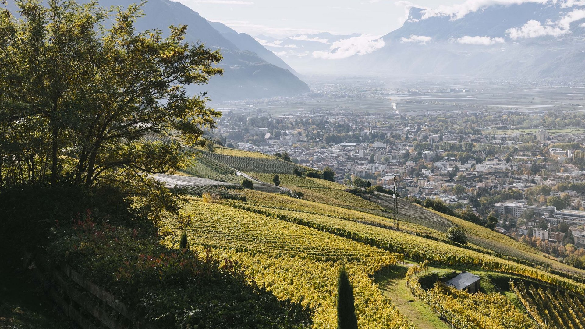 Le vostre vacanze in montagna con il cane Le vostre vacanze in montagna con il cane