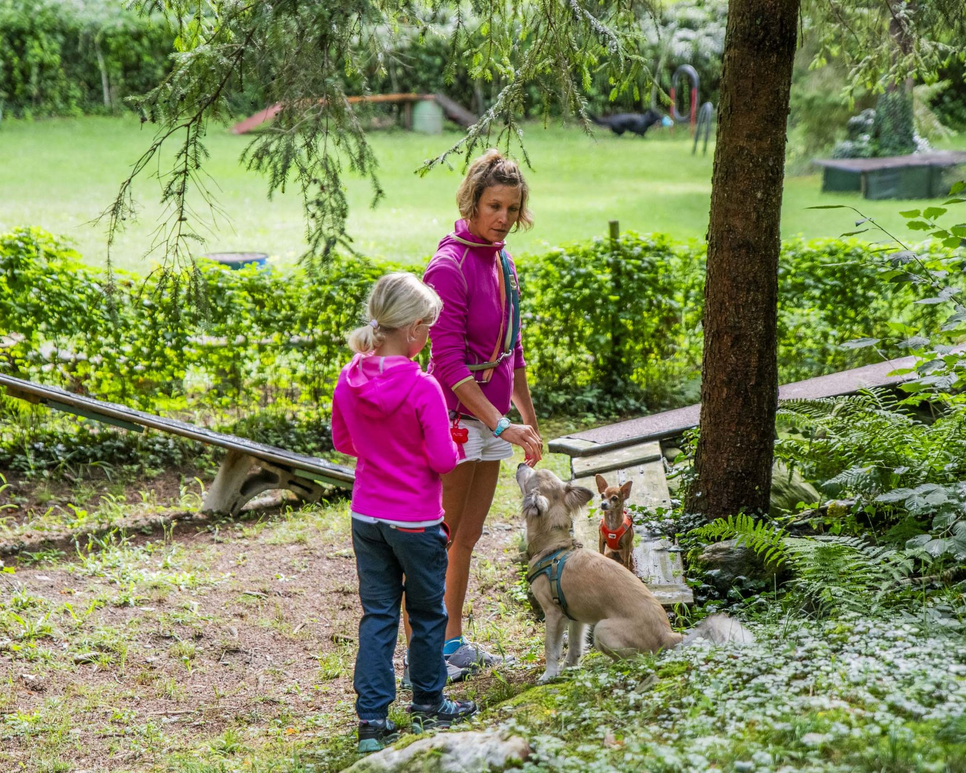 Ihr Hundehotel in Südtirol: das Hotel Mair am Ort Ihr Hundehotel in Südtirol: das Hotel Mair am Ort