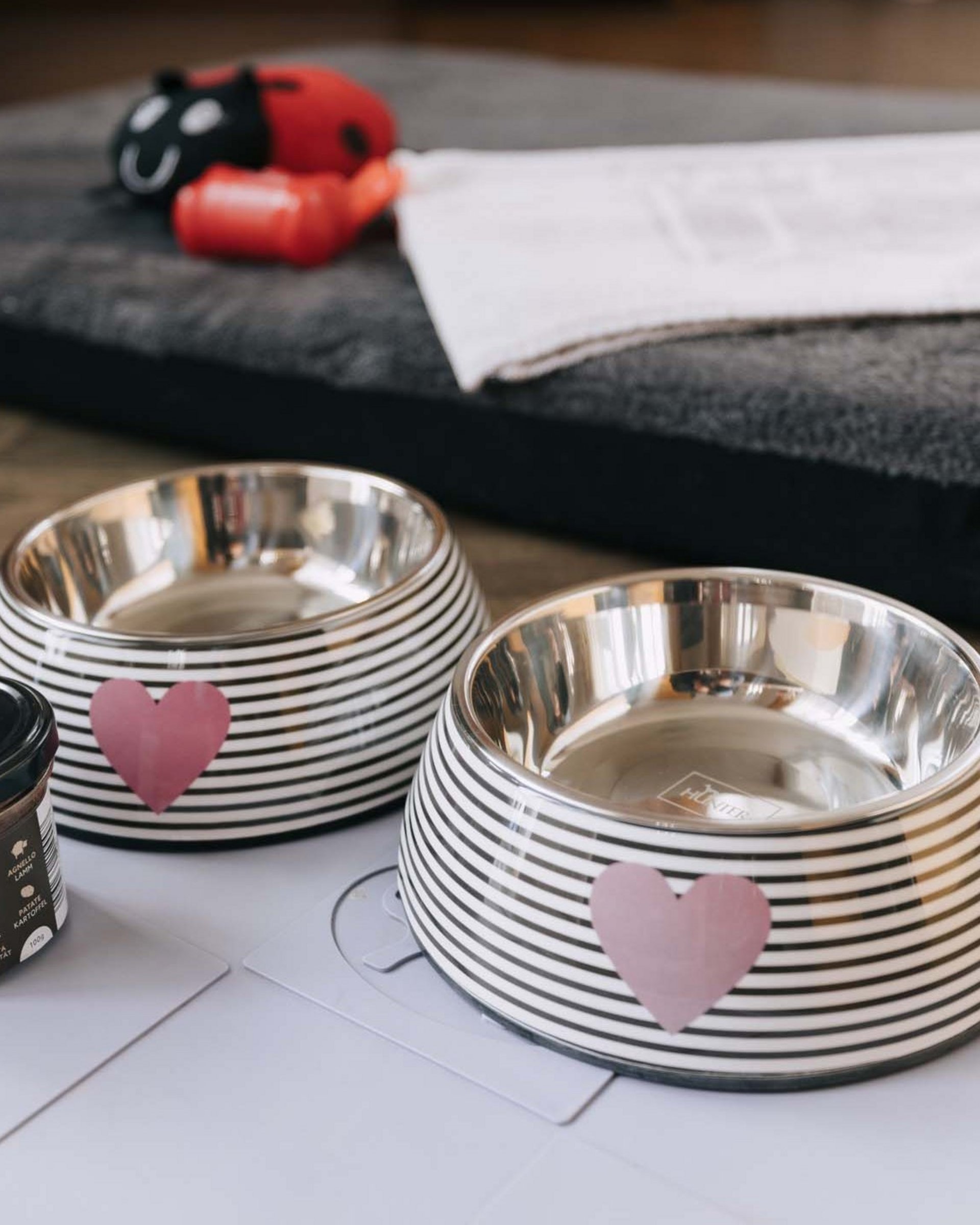 Le vostre vacanze in montagna con il cane Le vostre vacanze in montagna con il cane