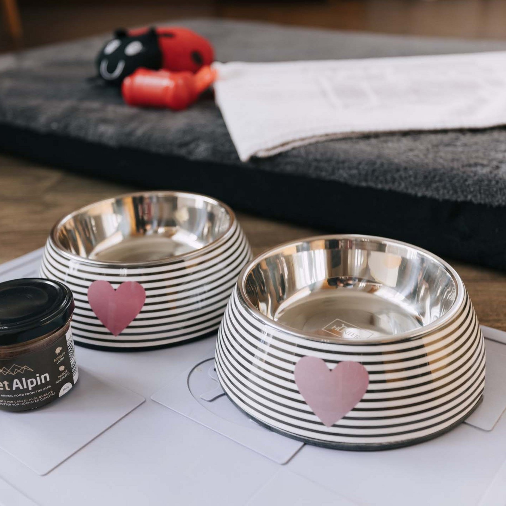 Le vostre vacanze in montagna con il cane Le vostre vacanze in montagna con il cane